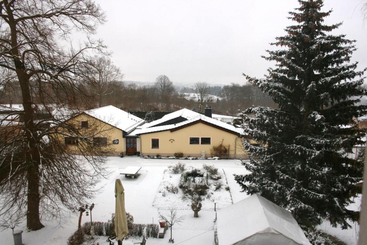 Villa Goeltzschtalblick Netzschkau Exterior foto